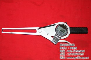 東營數(shù)顯外卡規(guī) 外卡規(guī) 桂量量具特殊卡規(guī) 查看